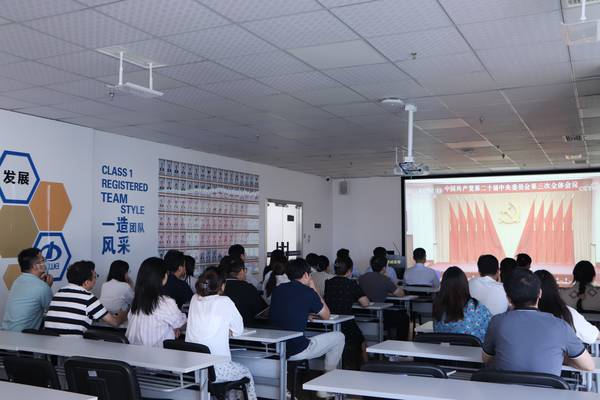 德威党组织学习贯彻党的二十届三中全会精神 图片.jpg